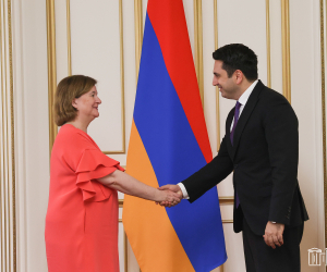 Ալեն Սիմոնյանն ընդունել է ԵԽ անվտանգության եւ պաշտպանության հարցերով ենթակոմիտեի նախագահին
