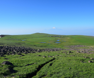 Կպատրաստվի հայտ՝ վիշապաքարերը ՅՈՒՆԵՍԿՕ-ի Համաշխարհային ժառանգության նախնական ցանկում ընդգրկելու նպատակով
