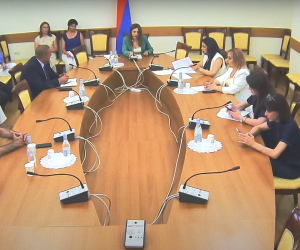 Պետական-իրավական հարցերի մշտական հանձնաժողովի նիստ. ուղիղ հեռարձակում