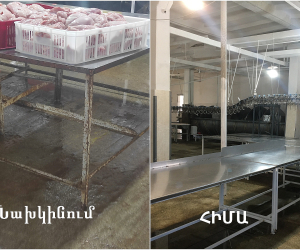 Վերացվել է թռչնամսի արտադրամասի արտադրական գործունեության կասեցումը