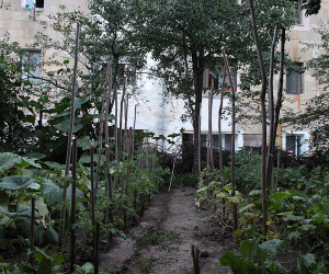 Stepanakert’s Urban Gardeners Address Blockade’s Food Shortage