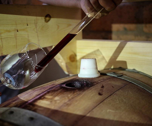 Russians in Armenia Boost Demand for Local Wine, Say Domestic Vintners