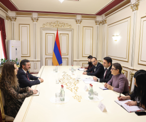 Լիտվայի դեսպանն Ալեն Սիմոնյանին առաջարկել է տեսազանգի միջոցով միջխորհրդարանական քննարկում իրականացնել