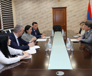 Ժաննա Անդրեասյանը Բելգիայի Թագավորության դեսպանին ներկայացրել է ԼՂ-ում հայկական մշակութային ժառանգությանը սպառնացող վտանգը
