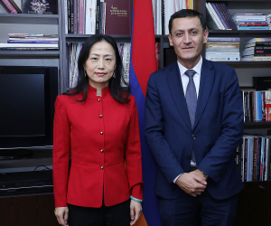 Քննարկվել են Հայաստանում չինարենի զարգացմանը վերաբերող հարցեր