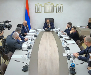 ԱԺ մշտական հանձնաժողովի հերթական նիստը՝ ուղիղ հեռարձակմամբ