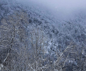 Սպասվում է առանց տեղումների եղանակ