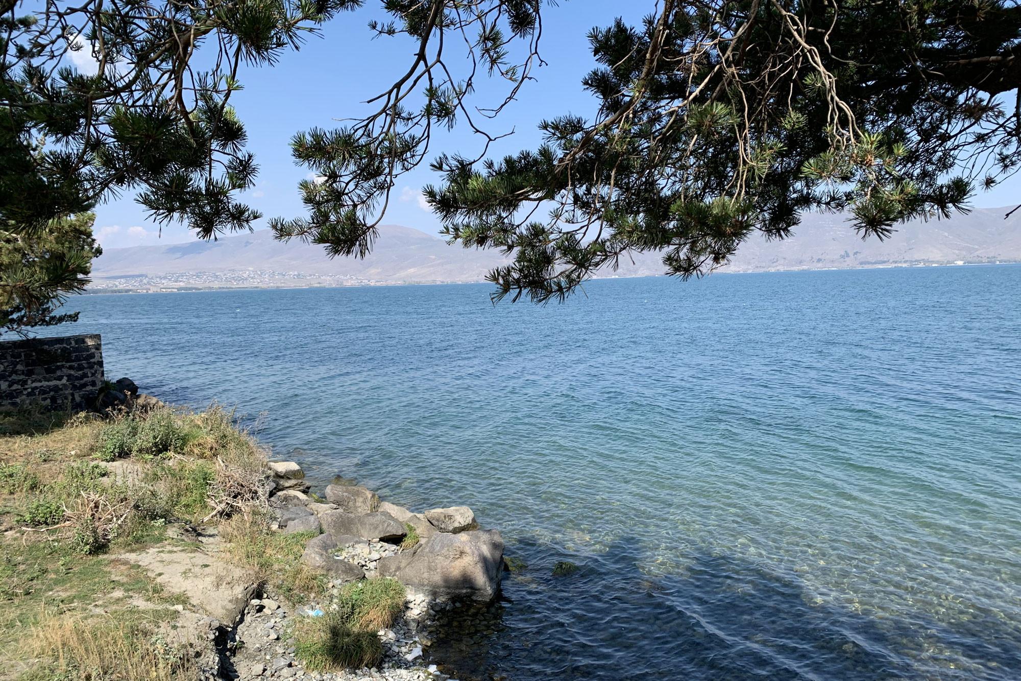 Climate Change, Infected Imported Wood Wreaking Havoc in Armenia’s Sevan National Park