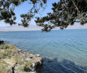 Climate Change, Infected Imported Wood Wreaking Havoc in Armenia’s Sevan National Park