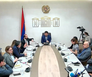 ԱԺ արտաքին հարաբերությունների մշտական հանձնաժողովի հերթական նիստը՝ ուղիղ հեռարձակմամբ