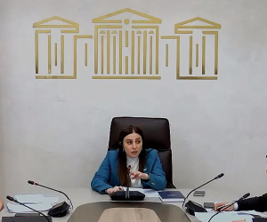 ԱԺ ֆինանսավարկային և բյուջետային հարցերի մշտական հանձնաժողովի արտահերթ նիստն է ընթանում