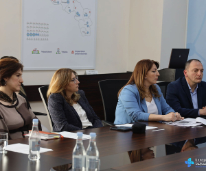 Ապահովագրությունը կնպաստի բժշկական ծառայությունների որակի բարելավմանը. Անահիտ Ավանեսյան