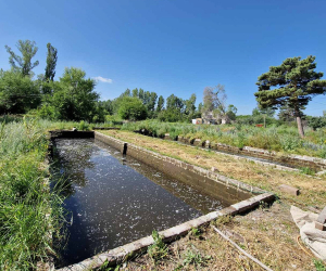 Ապօրինի ջրօգտագործմամբ ձկնաբուծություն Գեղարքունիքում