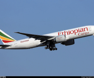 Ankara Bans Ethiopian Airlines Cargo Flight to Yerevan Via Turkish Airspace