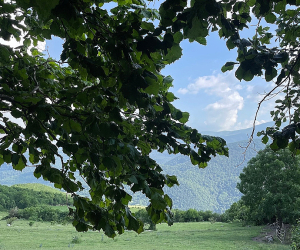 Օդի ջերմաստիճանը հուլիսի 18-20-ը կնվազի 5-7 աստիճանով