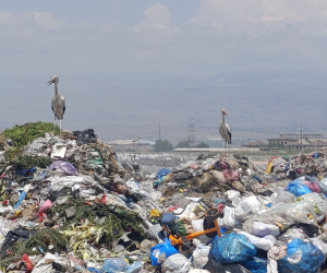 Etchmiadzin Landfill: Smoke from Burning Trash Forces Residents to Shut Windows