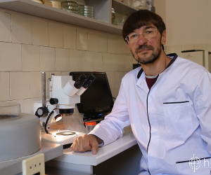 Armenia's &quot;Mosquito Maven&quot;: No West Nile Fever Despite Presence of Carriers