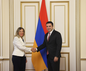 Ալեն Սիմոնյանն ընդունել է Հայաստանում Եգիպտոսի Արաբական Հանրապետության արտակարգ եւ լիազոր դեսպան Սերենադ Գամիլին