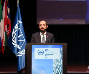 Արարատ Միրզոյանի ելույթը Միջազգային քրեական դատարանի Հռոմի կանոնադրության մասնակից պետությունների ասամբլեայի 23-րդ նստաշրջանին