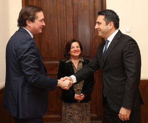 PACE Legal Affairs/Human Rights Committee Holds Meeting in Yerevan