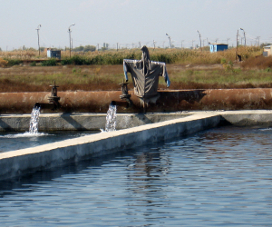 Armenia: Water Recyling Law Angers Ararat Valley Fish Farmers