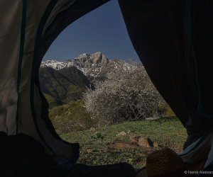 Օդի ջերմաստիճանը հունվարի 27-ի գիշերը կնվազի ևս 2-3 աստիճանով