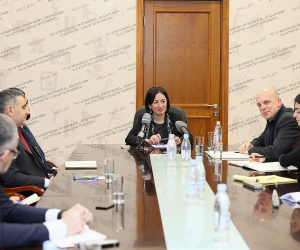 Armenian Minister Discusses &quot;Academic City&quot; Project with International Partners