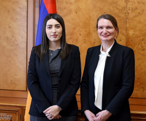 ՆԳ նախարարն ընդունել է ԵԽ պատվիրակությանը