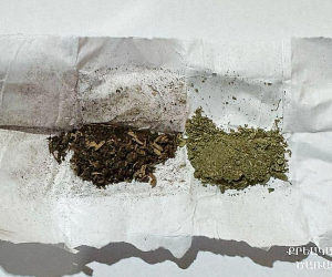 Դատարանից վերադարձած դատապարտյալի բաճկոնի աստառի տակ մարիխուանա է հայտնաբերվել