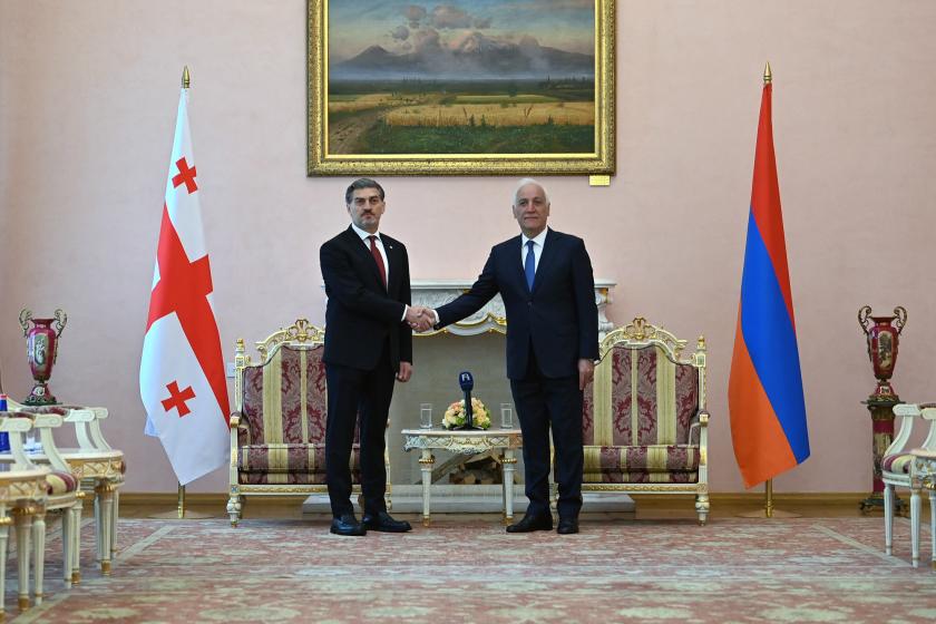 Վահագն Խաչատուրյանը հանդիպել է Վրաստանի նախագահ Միխեիլ Կավելաշվիլիին
