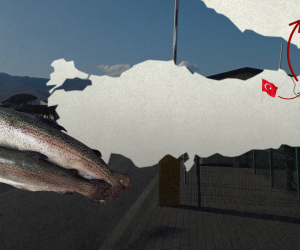 Импортированную в Армению турецкую форель экспортировали в РФ под видом армянской продукции 