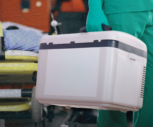 Organ Transplants in Armenia: Overcoming Public Taboos