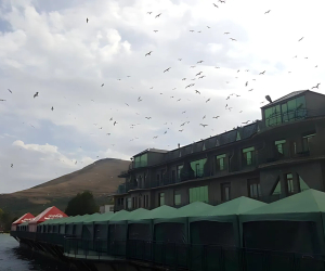 «Սեմոյի մոտ» ռեստորանը շտկել է խախտումները. ԲԸՏՄ-ն կասեցումը դադարեցրել է
