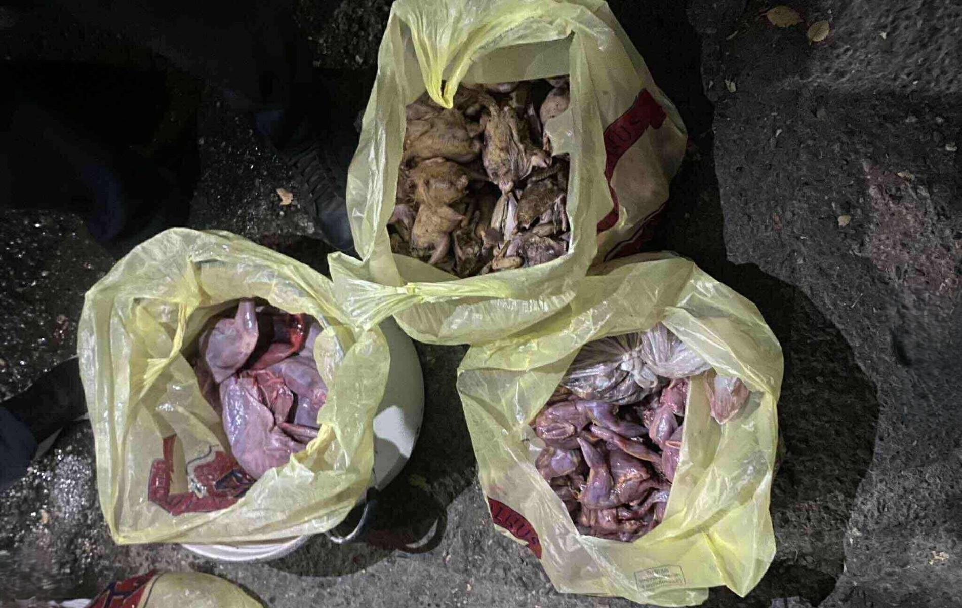 Երևանի բնակիչները Վայոց ձորում ապօրինի որսացել են 74 մոխրագույն կաքավ և 4 գորշ նապաստակ. ԲԸՏՄ