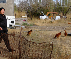 «Ուզում եմ գումար հավաքել ու տուն գնել, բայց Արփունքում չէ». արցախցի Անուշ Հովսեփյան