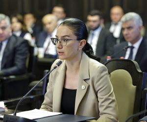 Պետությանը վերադարձված երկու հողամաս ամրացվել է Պաշտպանության ու Շրջակա միջավայրի նախարարություններին