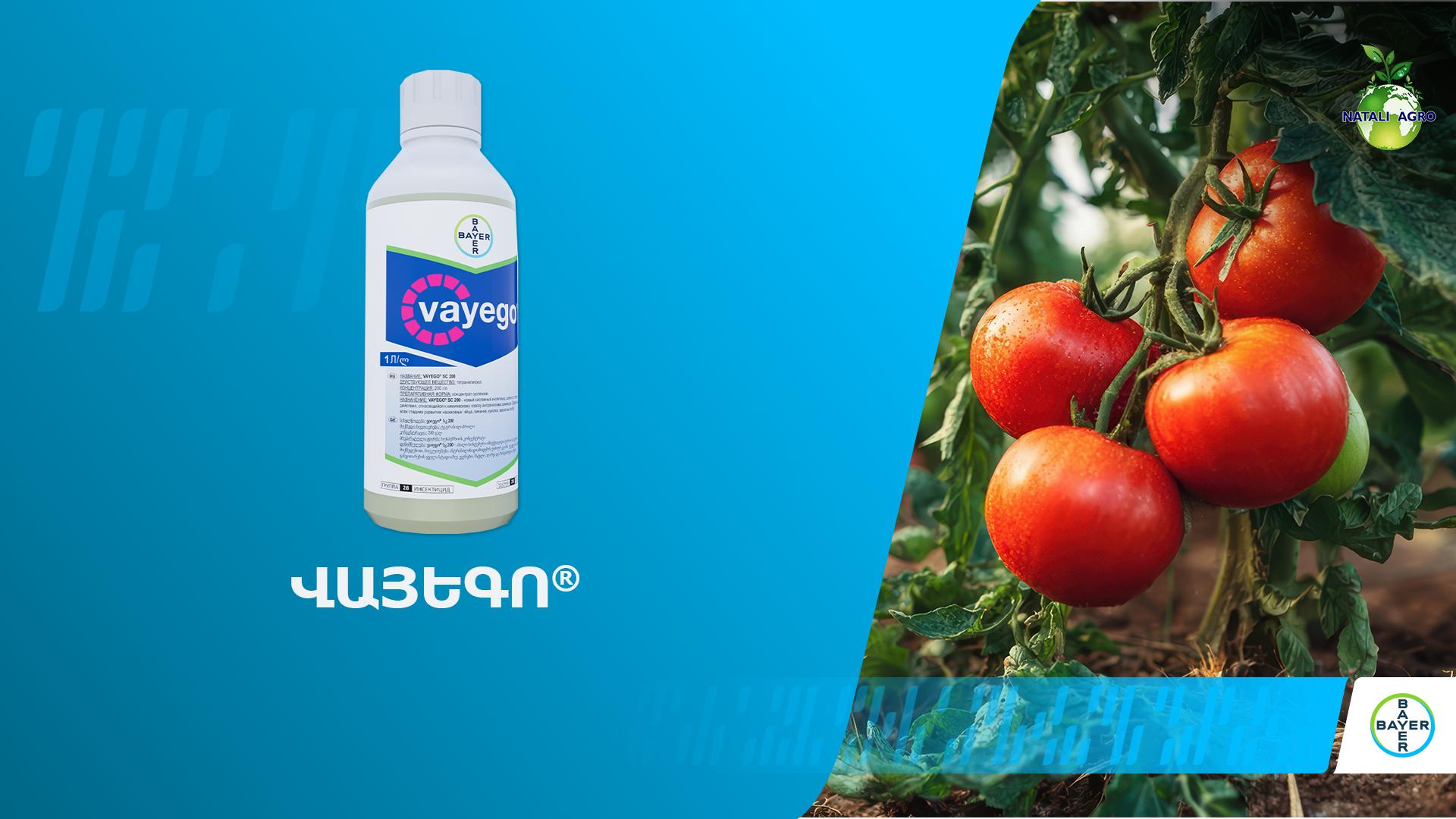 Վայեգո՝ նոր համակարգային միջատասպան BAYER-ից