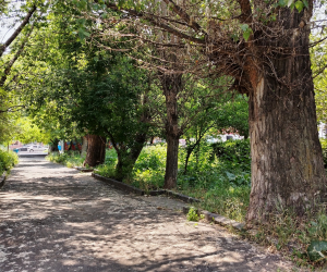 Gyumri’s Victory Park Slated for Much Needed Facelift: Government to Spend $469K 