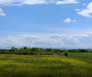 Armenia’s Environment Ministry Fails to Support ‘High-Performance’ Claims with Specifics on $2.2 Million Grant Spending