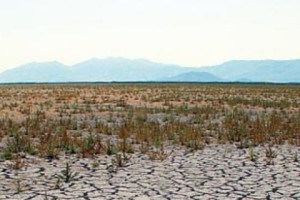 Farmers Will be Praying for Rain in Armenia