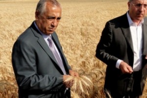 Լավ է ուշ, քան երբեք