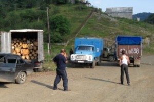 Աշխատանքային խումբ է մեկնել Լորուտի անտառապետություն