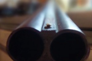 Սպանվել է որսորդական հրացանով