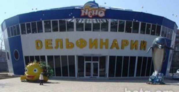 А за дельфинов ответишь!