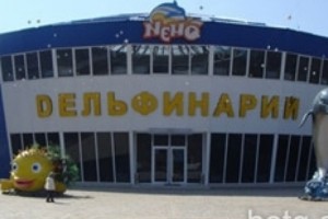 А за дельфинов ответишь!