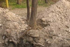 Ահազանգում են Սարյան 4 շենքի բնակիչները