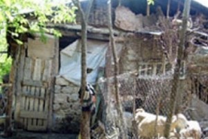 Eight Children are Left Homeless