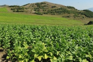 Ջրագիծը գործարկվեց, բայց հողերի մեծ մասը չի ոռոգվում
