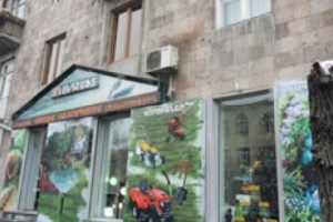Lanscaping Business Cuts Down Trees Outside Store