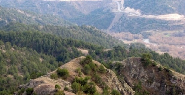 Հայրենադարձության տապալո՞ւմ,  թե՞ նախկին ազատամարտիկն իրեն այդպիսի բան 
երբեք թույլ չի տա